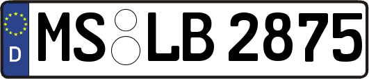 MS-LB2875