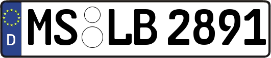 MS-LB2891