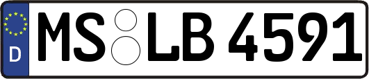 MS-LB4591
