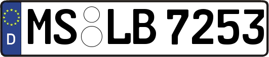 MS-LB7253