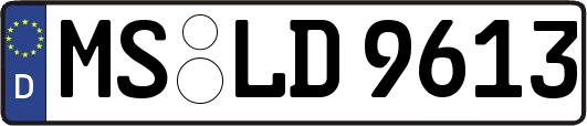 MS-LD9613