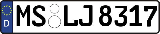 MS-LJ8317