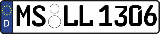 MS-LL1306