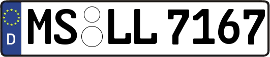 MS-LL7167