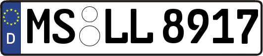 MS-LL8917