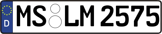 MS-LM2575