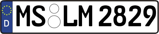 MS-LM2829