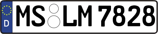 MS-LM7828