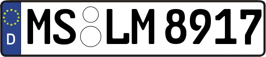 MS-LM8917