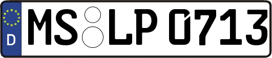 MS-LP0713
