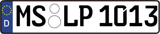 MS-LP1013