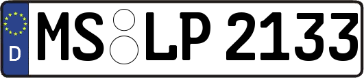MS-LP2133