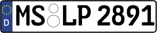 MS-LP2891