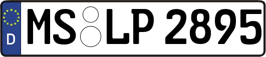 MS-LP2895
