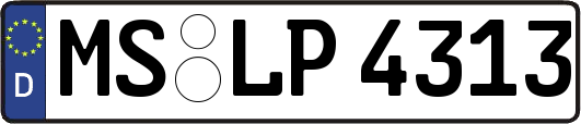 MS-LP4313