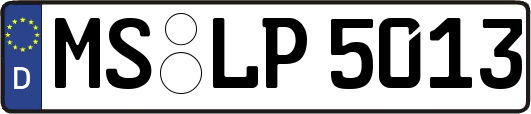 MS-LP5013