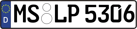 MS-LP5306
