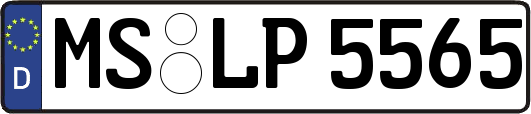 MS-LP5565