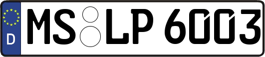 MS-LP6003
