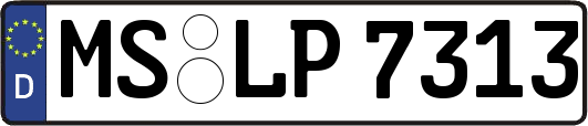 MS-LP7313