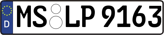 MS-LP9163