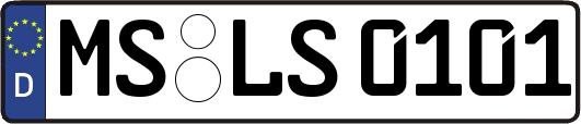 MS-LS0101