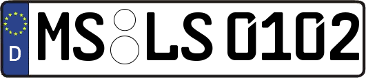 MS-LS0102
