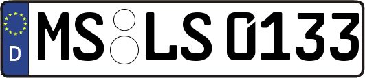 MS-LS0133