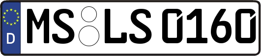 MS-LS0160