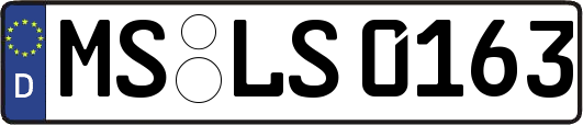 MS-LS0163