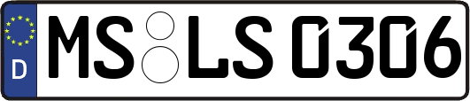 MS-LS0306