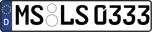 MS-LS0333