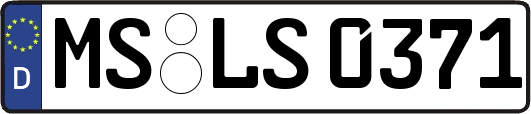 MS-LS0371