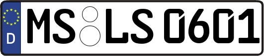 MS-LS0601
