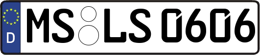 MS-LS0606