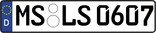 MS-LS0607