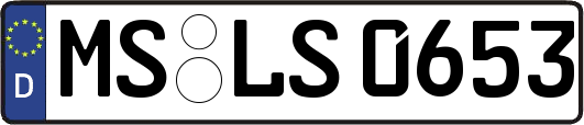 MS-LS0653