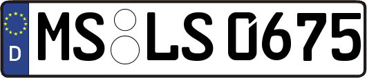 MS-LS0675