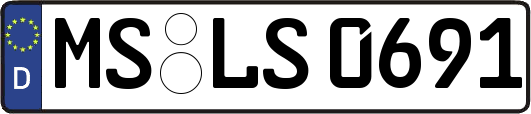 MS-LS0691