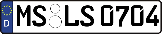 MS-LS0704
