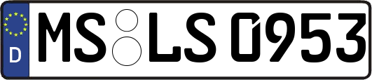 MS-LS0953