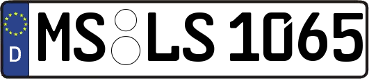 MS-LS1065