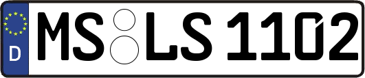 MS-LS1102