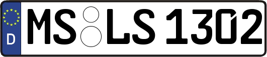 MS-LS1302