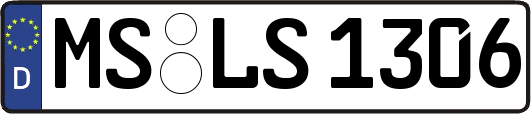 MS-LS1306