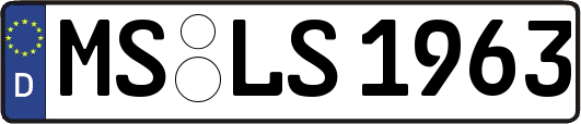 MS-LS1963