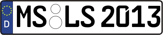 MS-LS2013