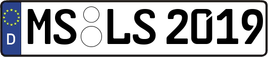 MS-LS2019