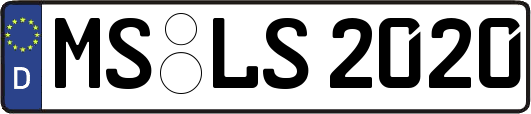 MS-LS2020