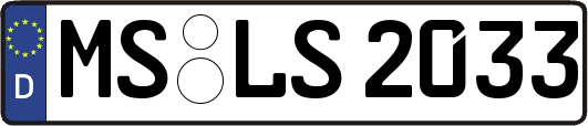 MS-LS2033